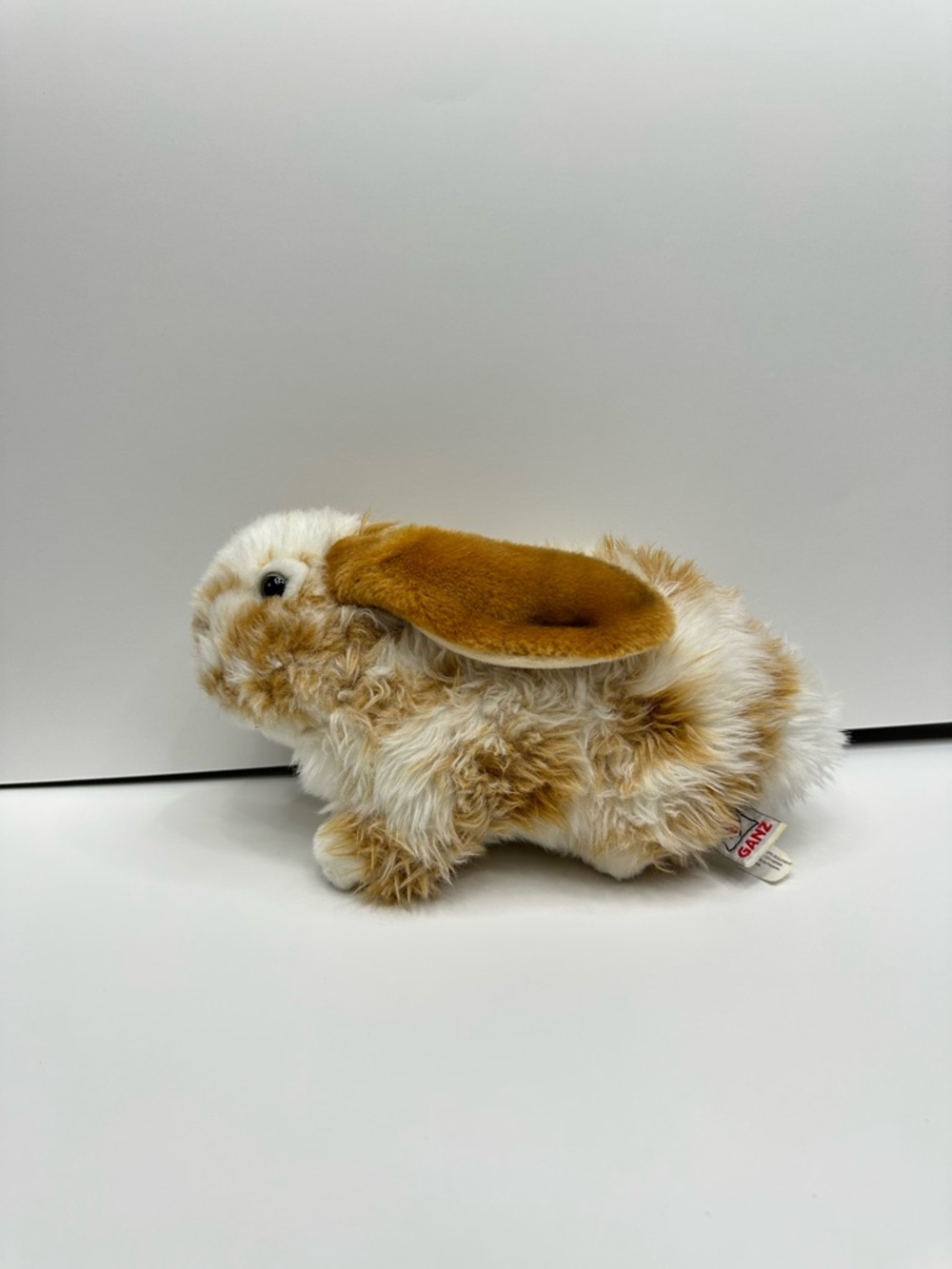 Webkinz signature Lop Bunny